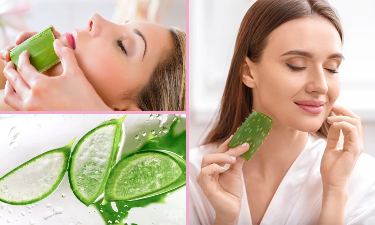 Is Rubbing Aloe on Your Face Good 6 Benefits