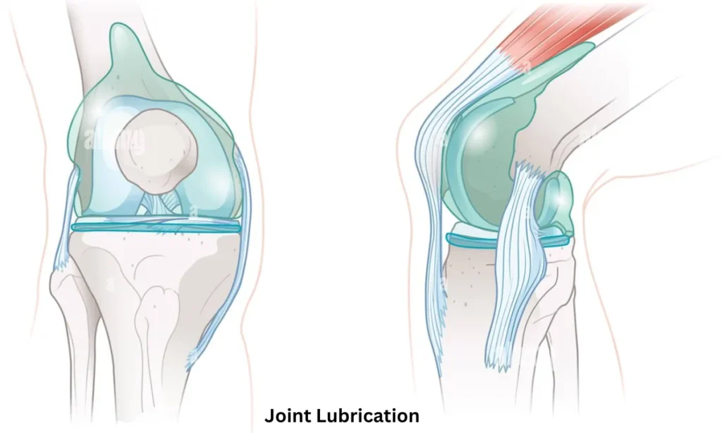 Are Exercise Bikes Bad for Your Knees? Experts Reveal 3 Insights