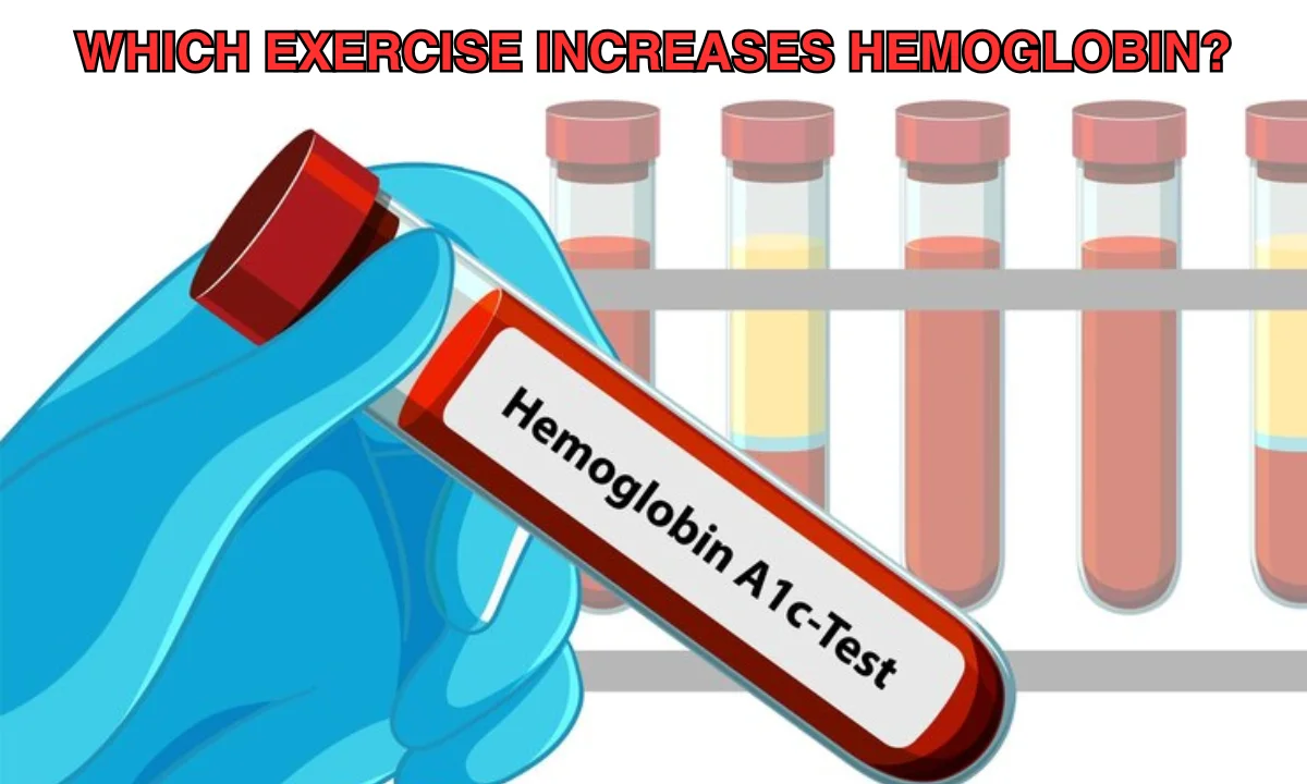 Which exercise increases hemoglobin?